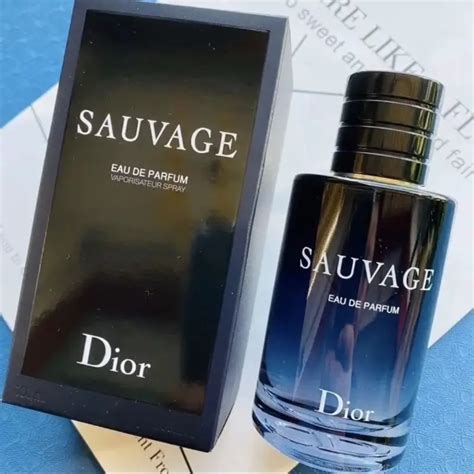 dior sauavge notes|what does Dior Sauvage smell like.